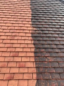 Roof cleaning company