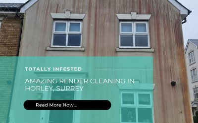 Expert Render Cleaning in Horley, Surrey – DSW Transforms Rendered Surfaces Safely