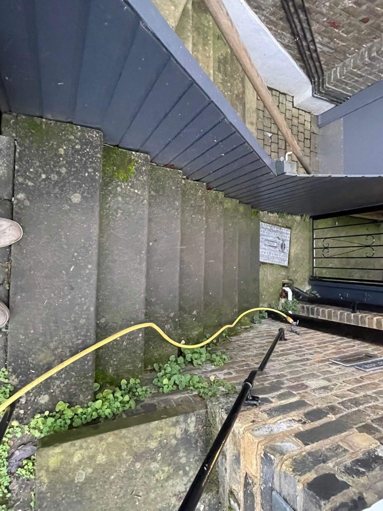 External stone steps in North London covered in moss and algae before cleaning