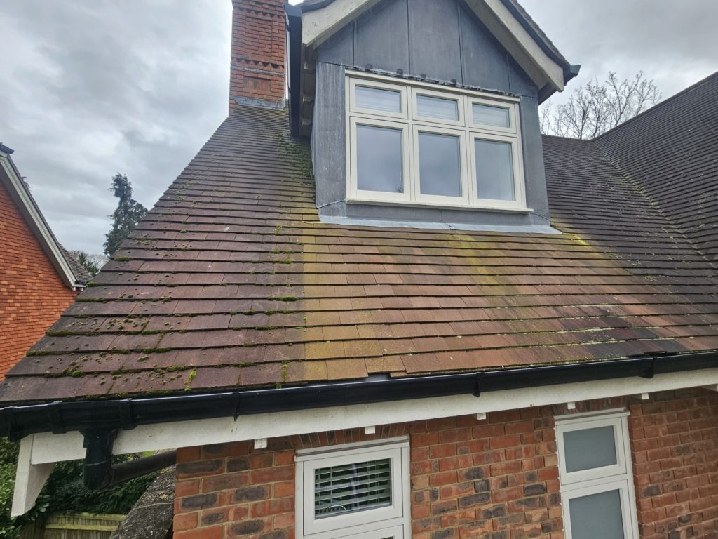 Roof with visible moss clusters before roof steam cleaning in Surrey.