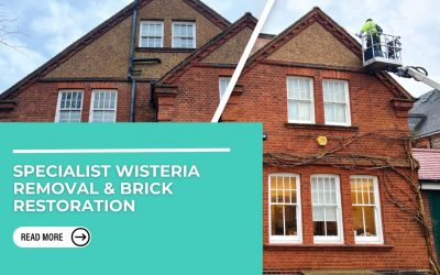 Brick Cleaning & Wisteria Removal in South London – A Stunning Before & After Transformation