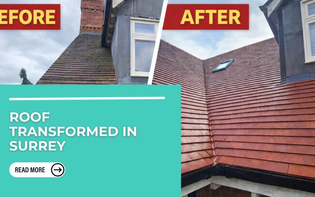 Roof Cleaning in Surrey: Why Spring Is the Perfect Time to Restore Your Roof
