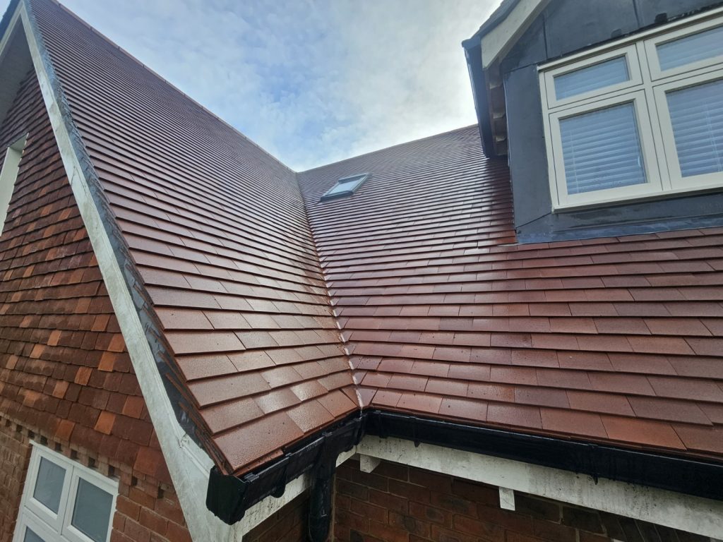 Clean roof tiles after professional steam roof cleaning in Surrey.