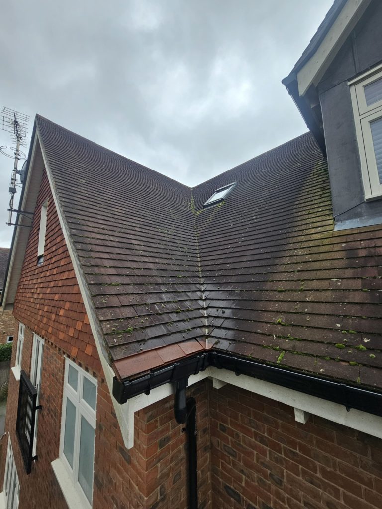 Moss covered roof tiles before professional roof steam cleaning in Surrey.