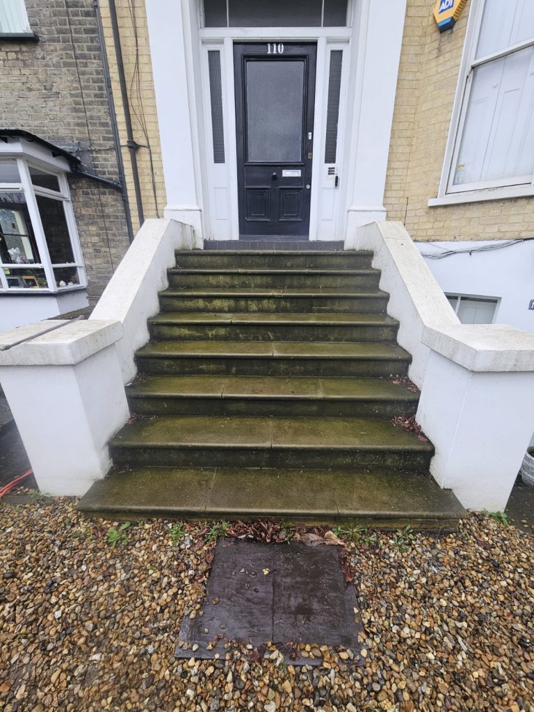 Exterior stone staircase covered in green algae before professional cleaning.